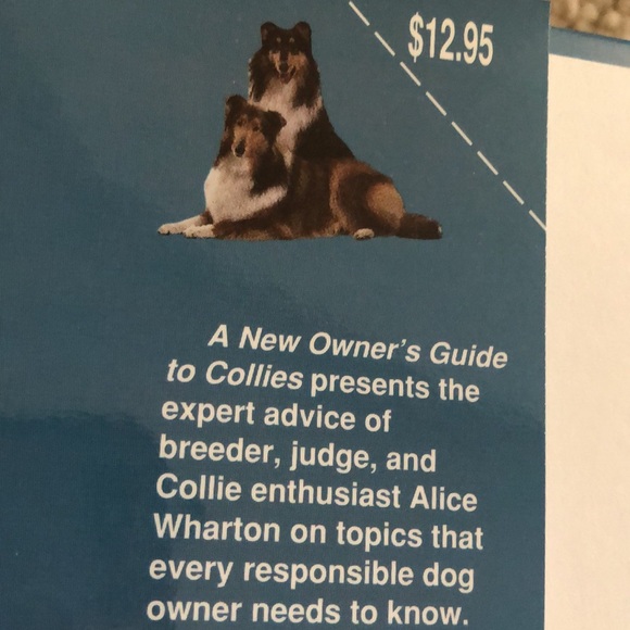 A New Owners Guide to Collies-an everything you need Collie dog book - Picture 9 of 10